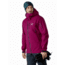 Arcteryx Sidewinder Jacket - Mens, Renegade, Small, 393060