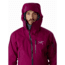 Arcteryx Sidewinder Jacket - Mens, Renegade, Small, 393060