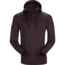 Arcteryx Slocan Hoody - Mens, Kingwood, 2XL, 327533