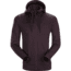 ArcTeryx Slocan Mens Hoody, Kingwood, Extra Large, 327531