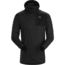 Arc'teryx Stryka Hoody - Men's, Black, Large, 393494