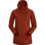 Arcteryx Vertices Hoody - Womens, Dark Sunhaven, Large, 393641
