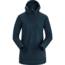 Arcteryx Vertices Hoody - Womens, Labyrinth, Large, 393635