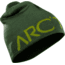 Arcteryx Word Head Long Toque Beanie-Anaconda/Twin Leaf