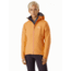 Arcteryx Zeta SL Jacket - Womens, Neoflora, Extra Small, 419004