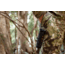 ATN BlazeTrek-619 1.25x - 10x Thermal Imaging Monocular 12 Micron, 640x512, Black, TIMNBLT619