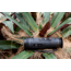 ATN BlazeTrek-619 1.25x - 10x Thermal Imaging Monocular 12 Micron, 640x512, Black, TIMNBLT619
