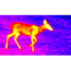 ATN OTS 4T, 2.5-25x, 640x480, Thermal Viewer w/ Full HD Video rec, WiFi, Smooth zoom, iOS/Android Controlling App, Black, TIMNO4643A