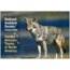 Audbn Pg Animal Tracks N Amer, National Audubon Society, Publisher - Random House