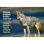 Audbn Pg Animal Tracks N Amer, National Audubon Society, Publisher - Random House