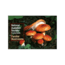 Audubon Pg Mushrooms, Peter Kastaros, Publisher - Random House