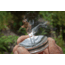 Aurora Tinder HOT Box Solar Fire Starter AFS855