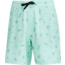 AVID Sportswear Westwinds Volley Shorts - Mens, Seafoam, Small/Medium, MS12405SFMSM