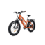 Bakcou Flatlander Step-Through 24in 21ah eBike, Gloss Burnt Orange, 9501279867116