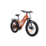 Bakcou Flatlander Step-Through 24in 21ah eBike, Gloss Burnt Orange, 9501279867116