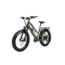 Bakcou Flatlander Step-Through 24in 21ah eBike, Matte Army Green, 9502964889475