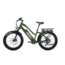 Bakcou Flatlander Step-Through 24in 21ah eBike, Matte Army Green, 9502964889475