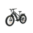 Bakcou Mule 25ah eBike, Kuiu Verde 2.0, 9501353197238