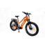 Bakcou Mule Step-Through 24in 21ah eBike, Gloss Burnt Orange, 9509421525778