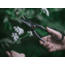 Barebones Artisan Pruning Shears, Stainless steel, GDN-049