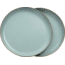 Barebones Enamel Plate Set, Mint, CKW-426