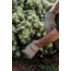 Barebones Kunar Utility Glove Clay XL