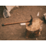 Barebones Pulaski Axe, 1055 Carbon Steel 1/3in Blade, Wood Handle, HMS-2101