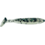 Bass Assassin Crappie Dapper Swimbait, 2in, 10 per Pack, Grey Ghost, 2, DDA48443