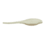 Bass Assassin Tiny Pro Shad Assasin Swimbaits, 15, 2in, Alewife, PTS69108