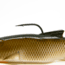 Bass Mafia 8.5in Loaded Daingerous Swimbait Shallow Runner