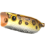 Bass Mafia Cannonball Poppin Frog Swimbait, leopard Frog, 2.6in, BMCPF-26-LFG
