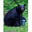 BearVault Journey Bear Resistant Food Canister, Transparent Blue, 3 Gal, BV500