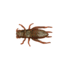 Berkley Gulp Cricket Creature Bait, 8, 1in, Bream, GHCR1-BRE, Breen, 1206497