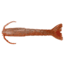 Berkley Gulp! Saltwater Shrimp Soft Bait, 4in, 8 Pack, New Penny, 1115912