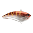 Berkley Jack Hard Baits, Chrome Red Perch, 7, 1624120