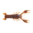 Berkley PowerBait MaxScent Lilft Trooper Soft Bait, 2 1/2in, 8 Pack, Rusty Craw, 1520670