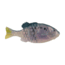 Berkley PowerBait Saltwater Gilly Soft Bait, HD Menhaden, 90, 1573096