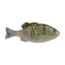 Berkley PowerBait Saltwater Gilly Soft Bait, Pinfish, 110, 1573101
