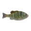 Berkley PowerBait Saltwater Gilly Soft Bait, Pinfish, 90, 1573097