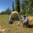 Big Agnes Bunk House 6 Tent, Prairie Sand/Chinois Green, 6 Person, TBUNK625
