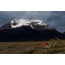 Big Agnes Lost Ranger Ul 3N1 15 850 Downtek Sleeping Bag, Gray/Orange, Regular Left, BLRUL3N115RL22
