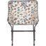 Big Agnes Mica Basin Camp Chair, Bugs, FMBCCBUG24