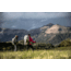 Big Agnes Parkview 63L Pack, Fog, Large, BPPV6022-112-LG