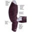 Big Agnes Sidewinder Camp 35 FireLine Sleeping Bag - Womens, Plum/Lavender, Petite, BWSWC35P21