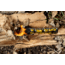 Black Beard Fire Starter, Black/Yellow, BB-FireStarter