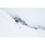 Black Crows Atris Skis, 189.7, 101010-189