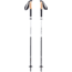 Black Diamond Alpine FLZ Trekking Poles-110 cm-White/Black