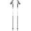 Black Diamond Alpine FLZ Trekking Poles with Tip Protector, 110 cm, BD11220300001101