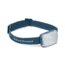 Black Diamond Stella-R Headlamp