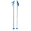 Black Diamond Boundary Ski Poles